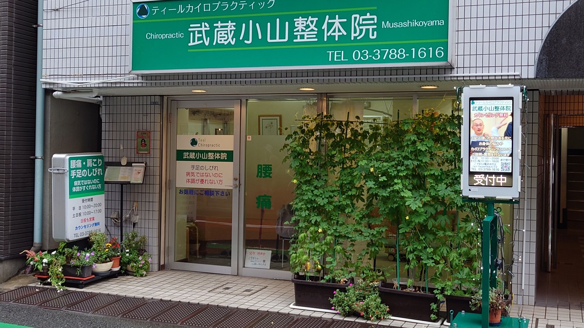 ティールカイロプラクティック武蔵小山整体院