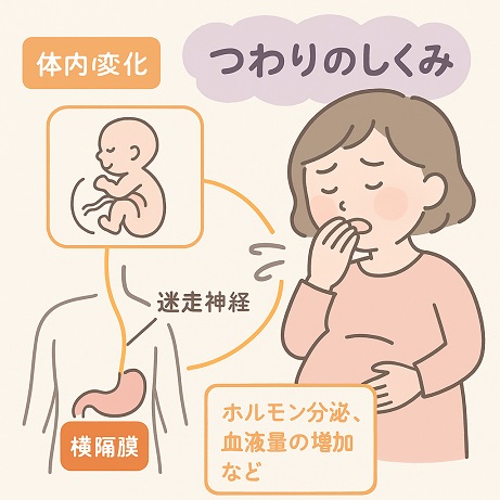 つわりは苦しくつらいもの負担の少ない整体の効果