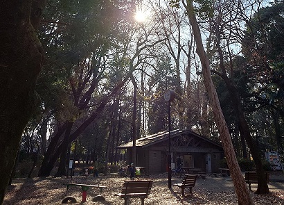 ティールカイロプラクティック武蔵小山整体院から歩いて１５分くらいで林試の森はある