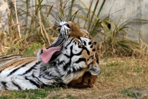 手の痺れを解消するのに役立つ意外な方法｜武蔵小山整体院